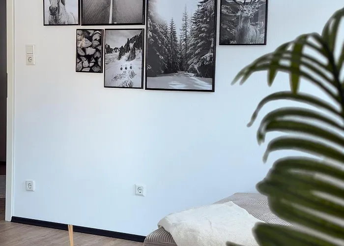 Modern 75qm With Balcony - Quiet Location Near Lägenhet Winterberg